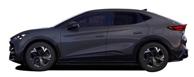 tavascan-modelos-cupra