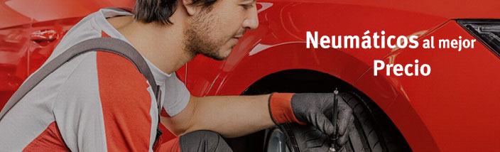 Cambio de neumáticos Leioa Motor
