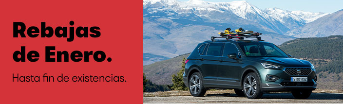 Ofertas Enero Leioa Motor